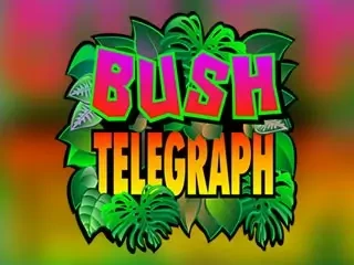 Bush Telegraph